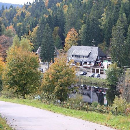 Klosterweiherhof Dachsberg im Schwarzwald Εξωτερικό φωτογραφία