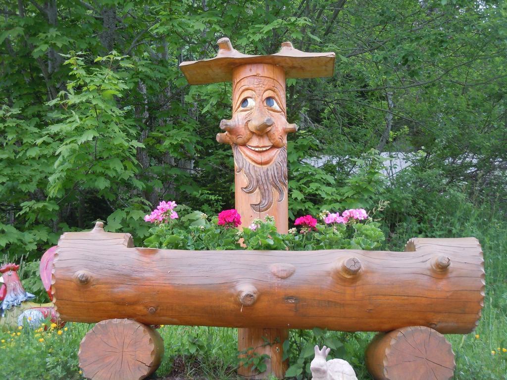 Klosterweiherhof Dachsberg im Schwarzwald Εξωτερικό φωτογραφία