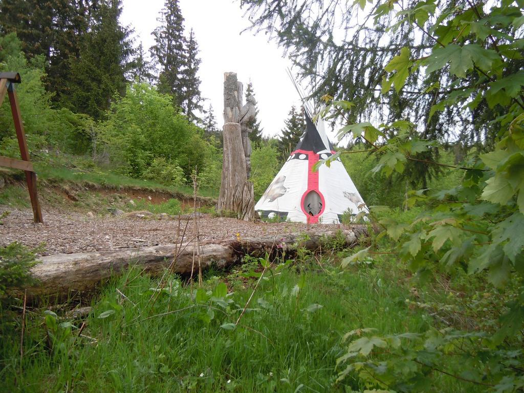 Klosterweiherhof Dachsberg im Schwarzwald Εξωτερικό φωτογραφία