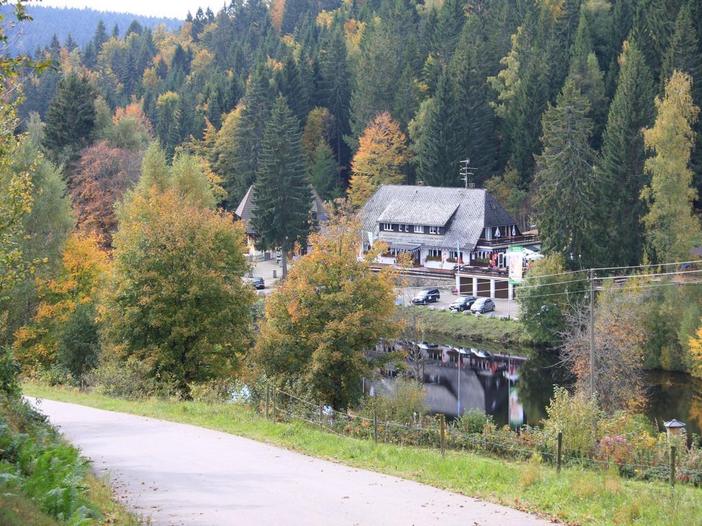 Klosterweiherhof Dachsberg im Schwarzwald Εξωτερικό φωτογραφία