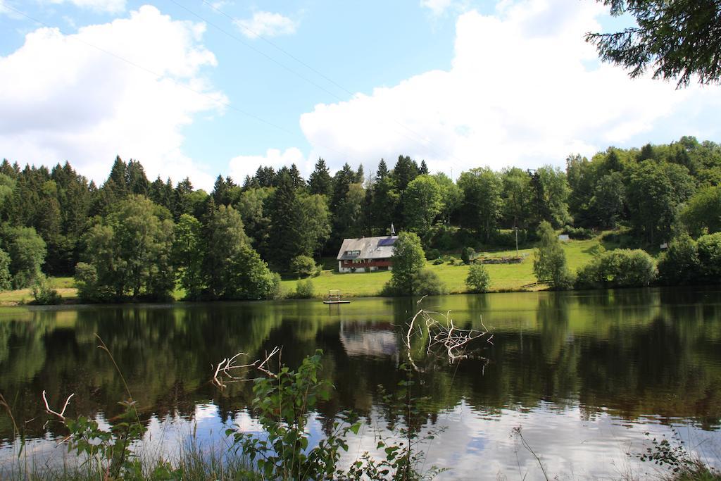 Klosterweiherhof Dachsberg im Schwarzwald Εξωτερικό φωτογραφία